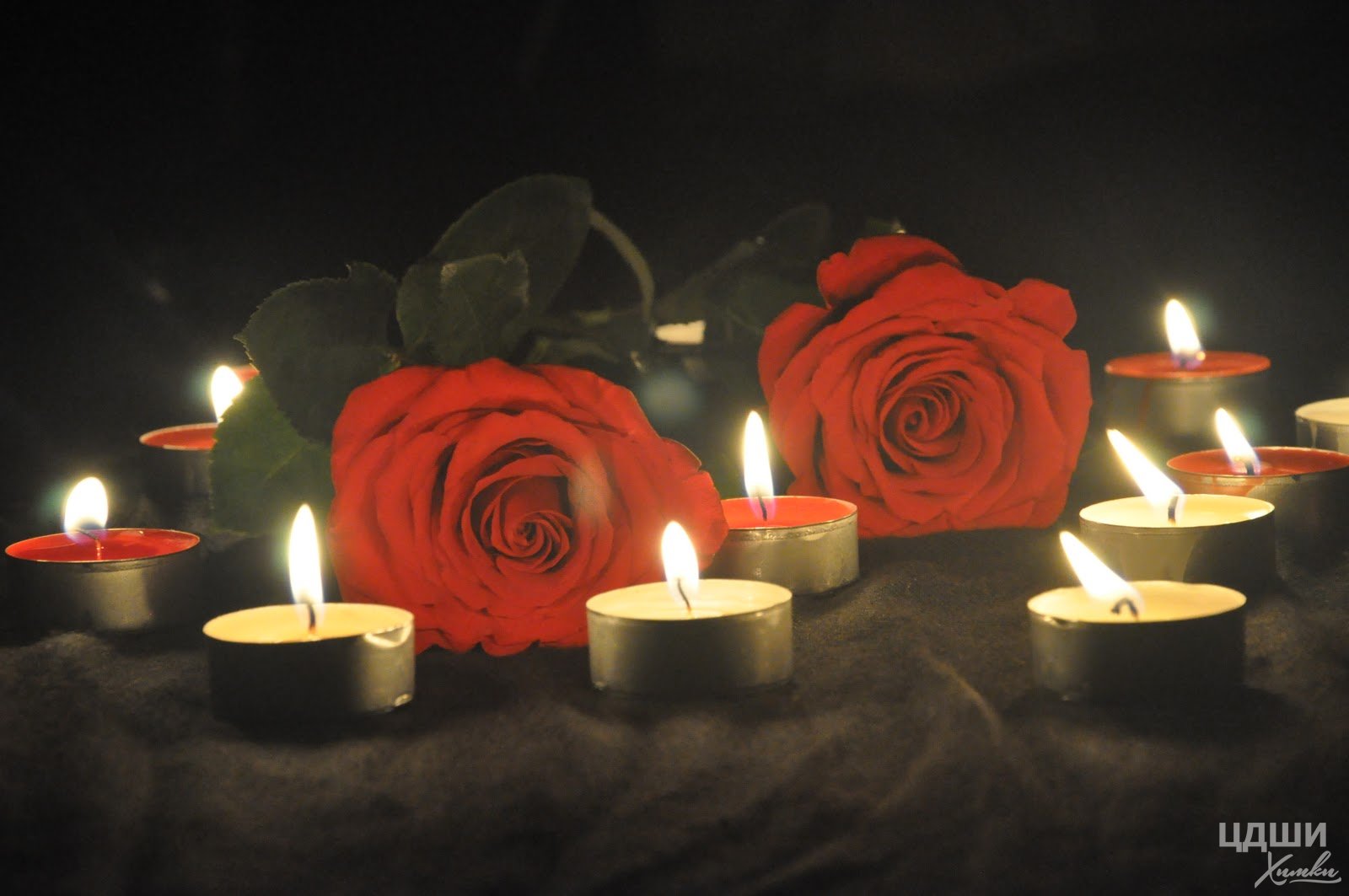 Пикник соболезнования. Свеча памяти. Свеча скорби. Траурная свеча. Свеча памяти и цветы.